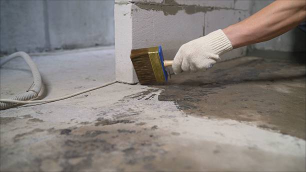 24/7 Emergency Vapor Barrier Installation experts in Johnson City, TN